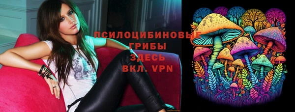 эйфоретик Новодвинск
