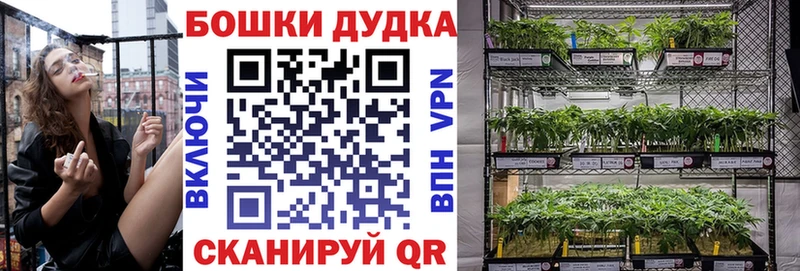 Купить где Калач Конопля марихуана